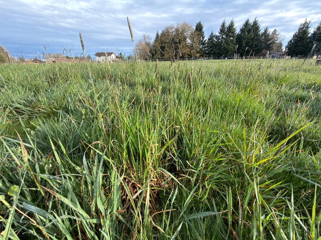South Hill Farm fields